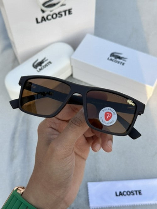 Branded Lcoste Coffee Brown Sunglasses FT (With Original Kit)