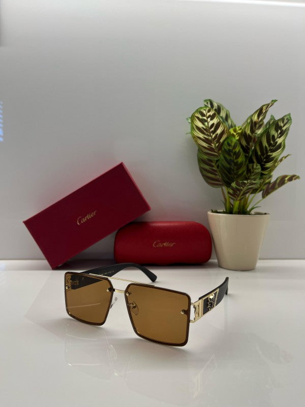 Branded Ctier Gold Brown Sunglasses EW (With Original Kit)