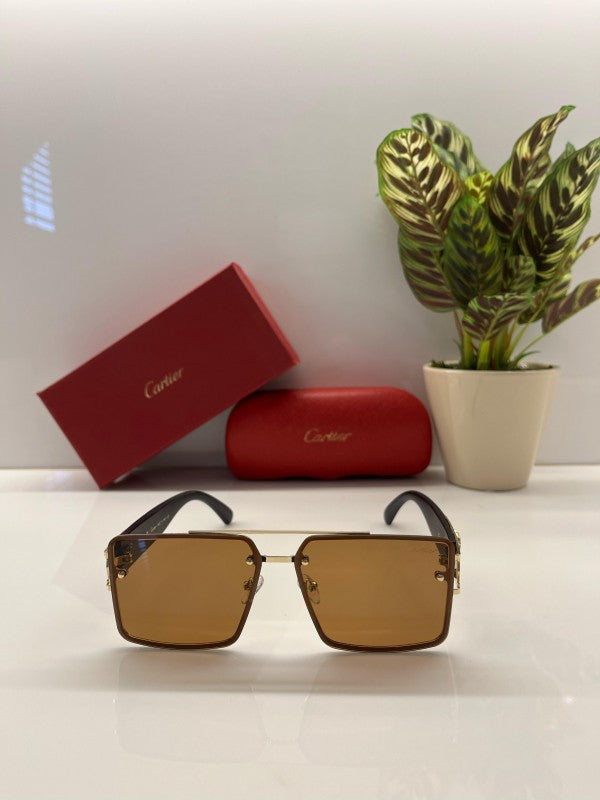 Branded Ctier Gold Brown Sunglasses EW (With Original Kit)